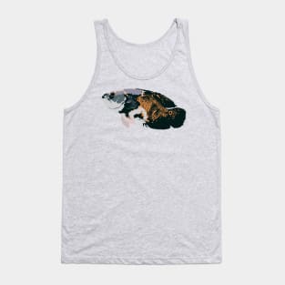 Oscar Fish Tank Top